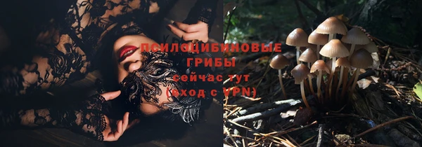 mix Няндома