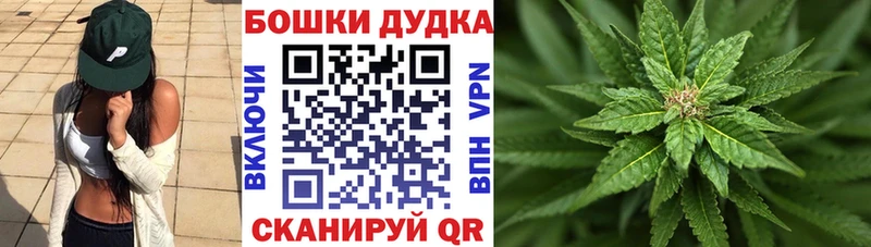 Каннабис гибрид  Инта 